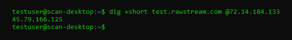 Network test using dig command